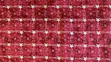 American Star